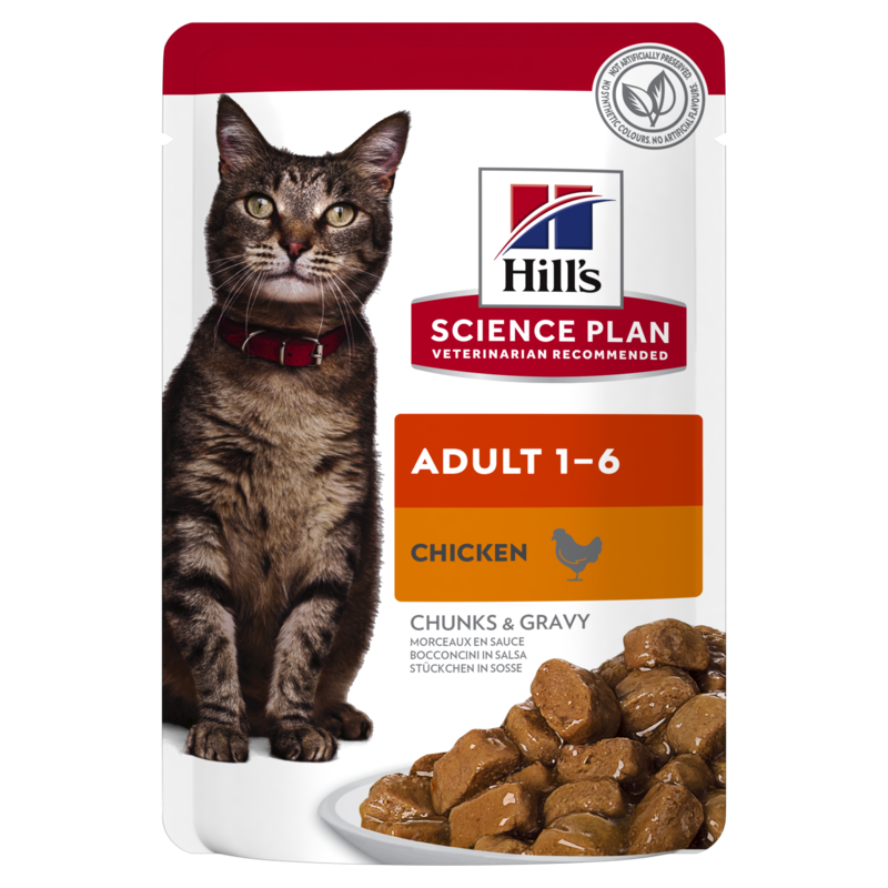 Hill's SP Feline Adult Chicken pouch konservai katėms 12x85g 