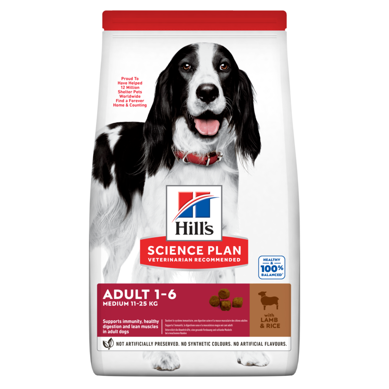 Hill's Science Plan Adult Lamb & Rice sausas maistas su ėriena šunims