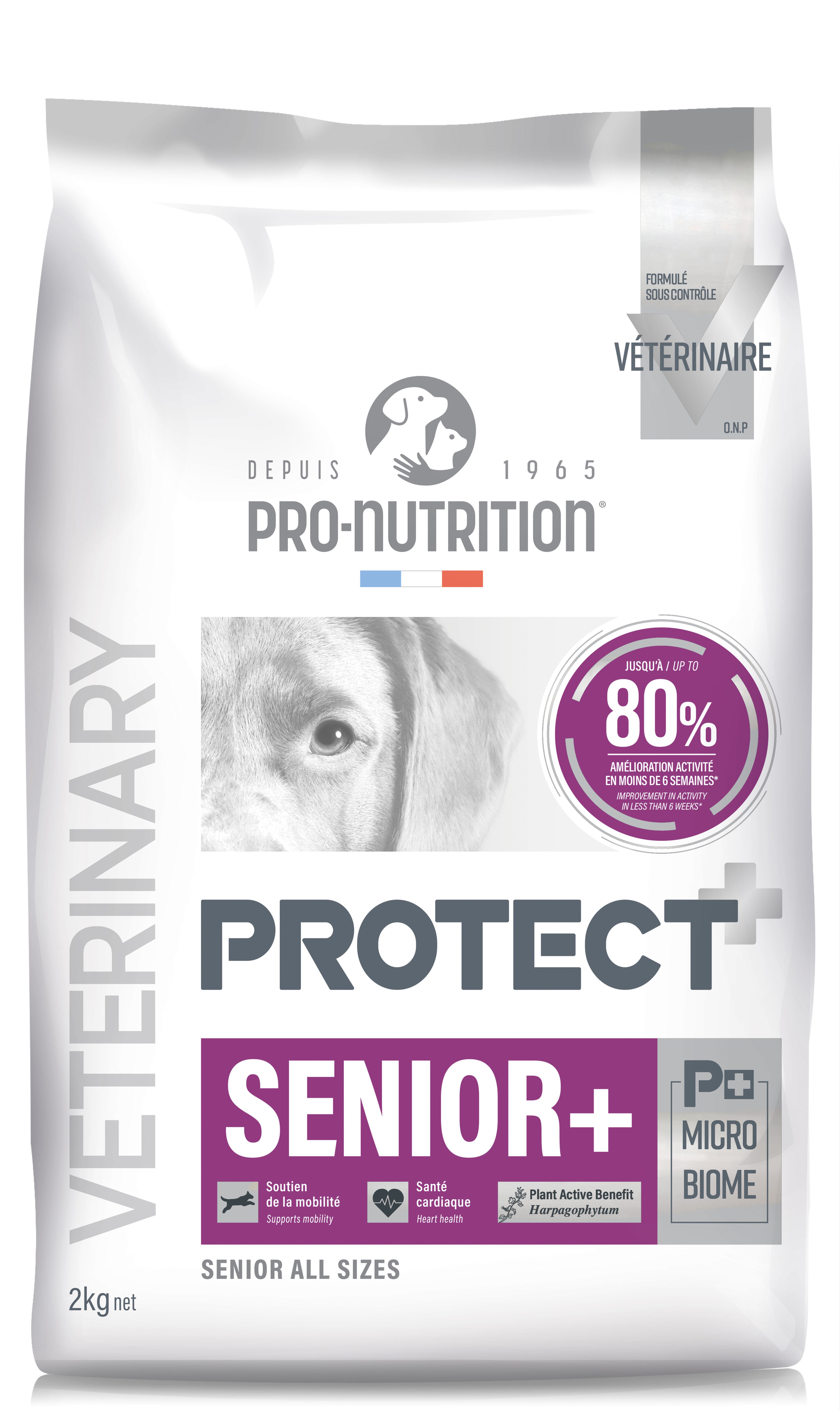 PRO-NUTRITION PROTECT SENIOR, subalansuotas dietinis pašaras vyresnio amžiaus šunims  2 kg