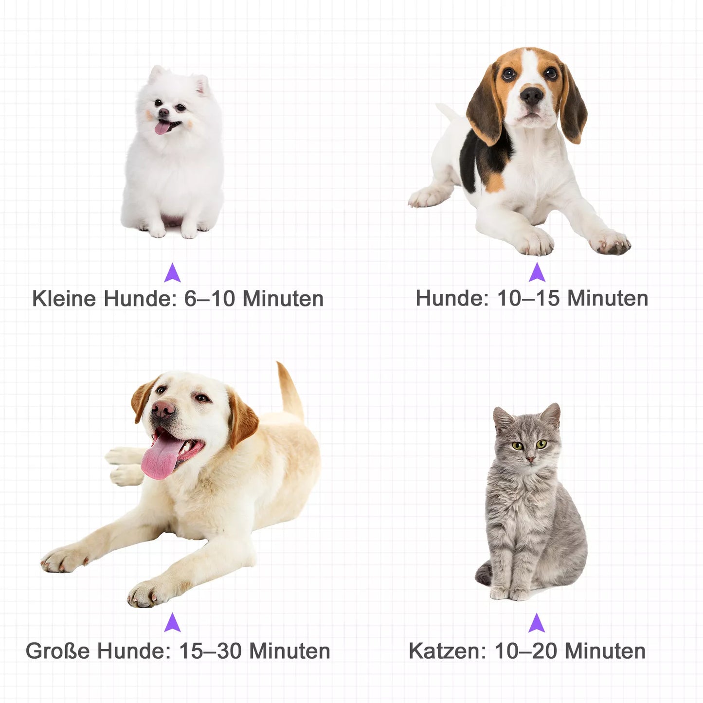 PawHut Profi Profesionali šunų ir gyvūnų džiovykla, tylioji, 2800W, metalinė, juoda, 40 x 16 x 20 cm