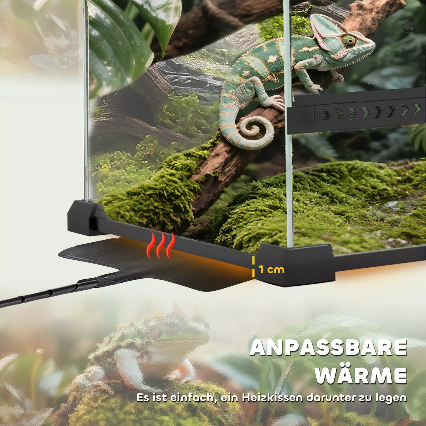 Stikla terārijs rāpuļiem, paaugstināts un ūdensnecaurlaidīgs dibens, sprādzes aizdare