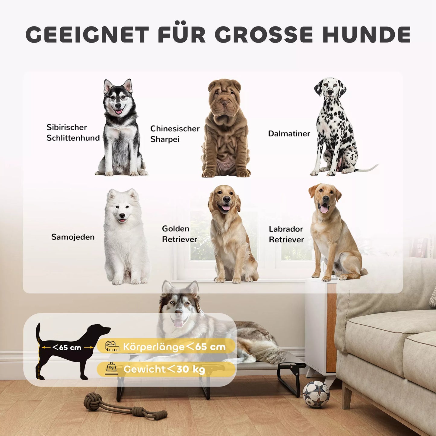 Pārnēsājama paaugstināta suņu gulta, paaugstināta mājdzīvnieku gulta ar elpojošu sietu, lieliem suņiem, gaiši pelēka