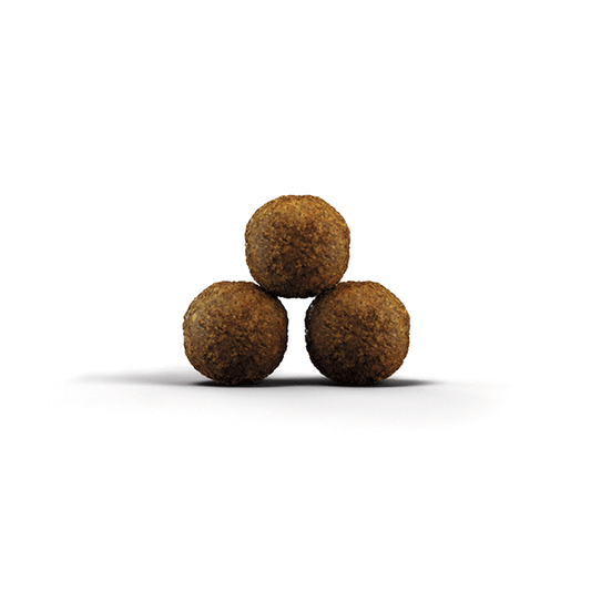 Josera Kitten sausas kačių maistas, 2 kg