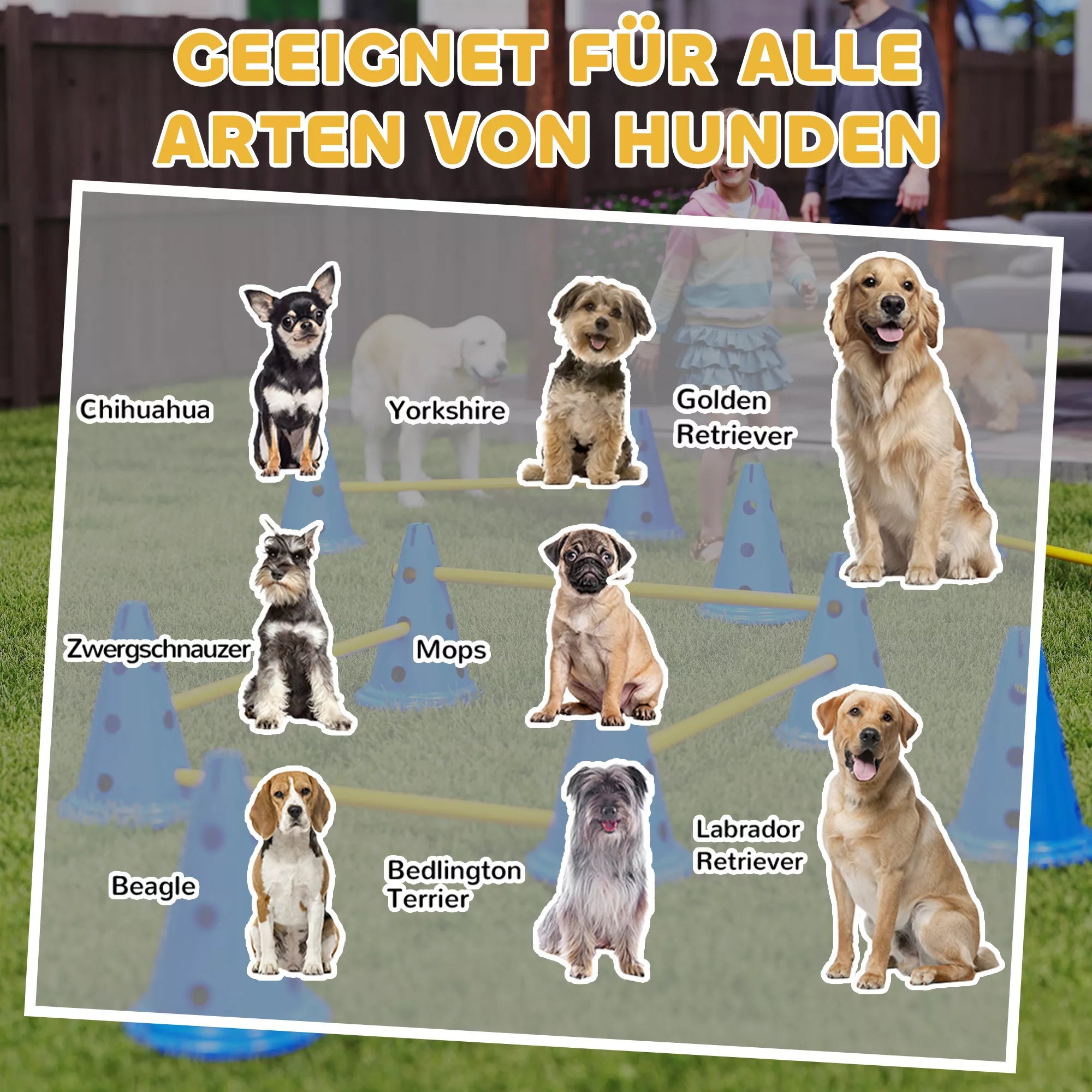 Agility rinkinys šunims 6 dalių agility įranga šunų dresūrai Stumiamų kliūčių rinkinys su 12 kūgiais 6 kliūtys Nešimo krepšys