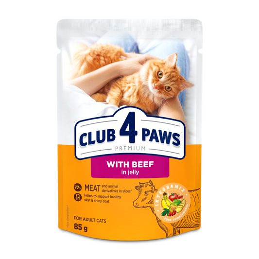 CLUB 4 PAWS Premium konservuotas ėdalas suaugusioms katėms su jautiena drebučiuose 24x80 gr