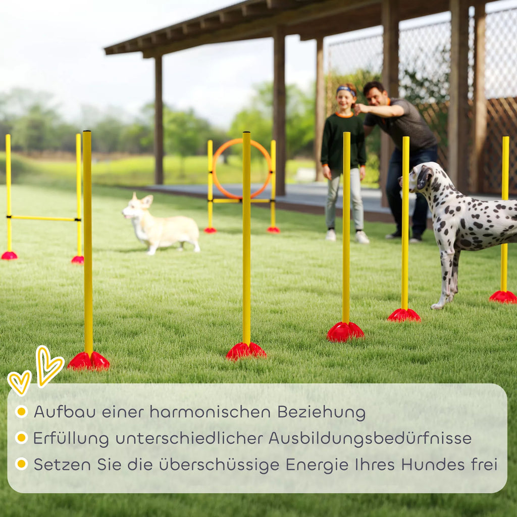 3 dalių šunų agility rinkinys, užpildomas. Agility įranga šunų dresūrai, šuolių kliūčių ir slalominių stulpų rinkinys.
