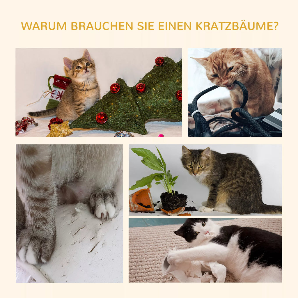 Kačių medis iki lubų aukščio 240-260 cm Katės medis su pliušiniais kamuoliais, katės urvu, hamaku, sizalio kamienais, platformomis Daugiaaukštis katės medis Laipiojimo medis didelėms katėms, tamsiai pilkos spalvos