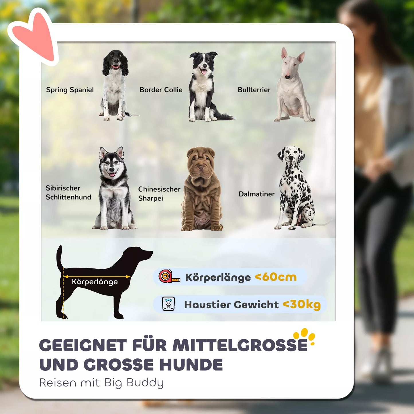 Suņu ratiņi, salokāmi, atverami, ar guļampaklājiņu, tērauda rāmis, sarkani/melni