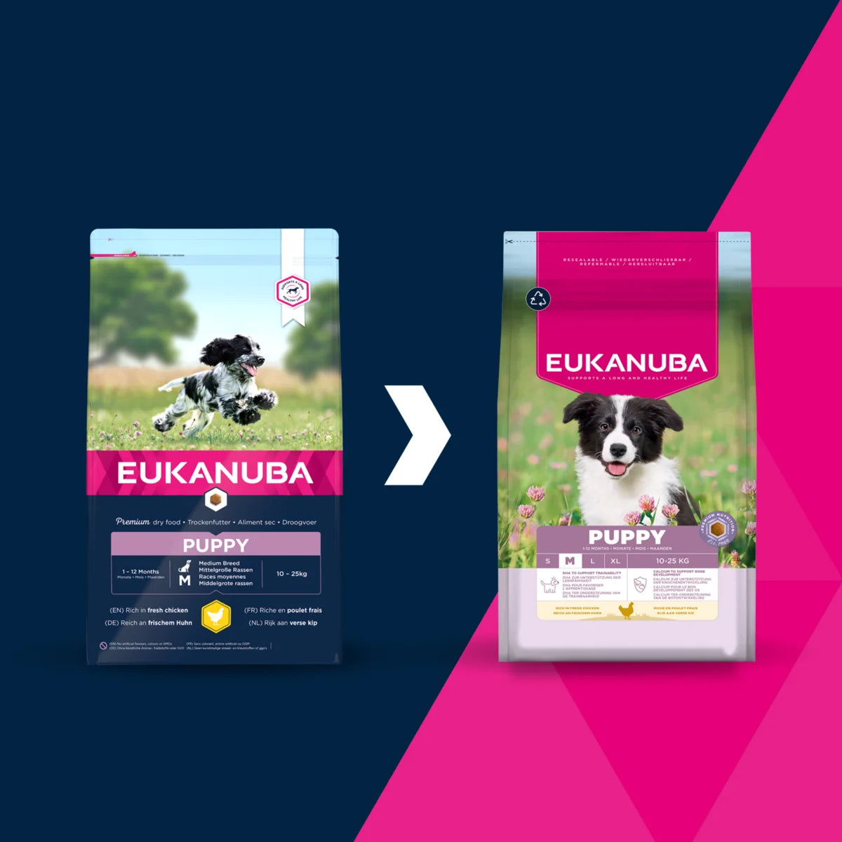 Eukanuba Life Care Puppy sausas maistas vidutinių veislių šuniukams su vištiena, M, 3 kg nauja pakuotė
