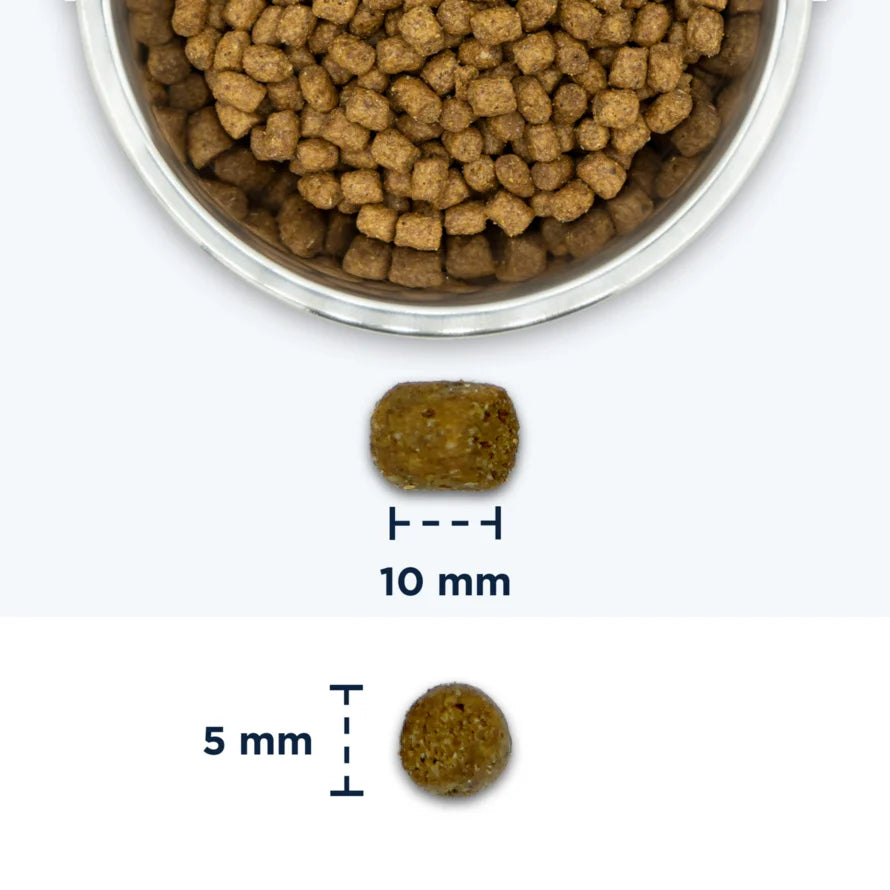 Eukanuba Weight Control sausas maistas sterilizuotoms katėms su vištiena, 10 kg grūdelis