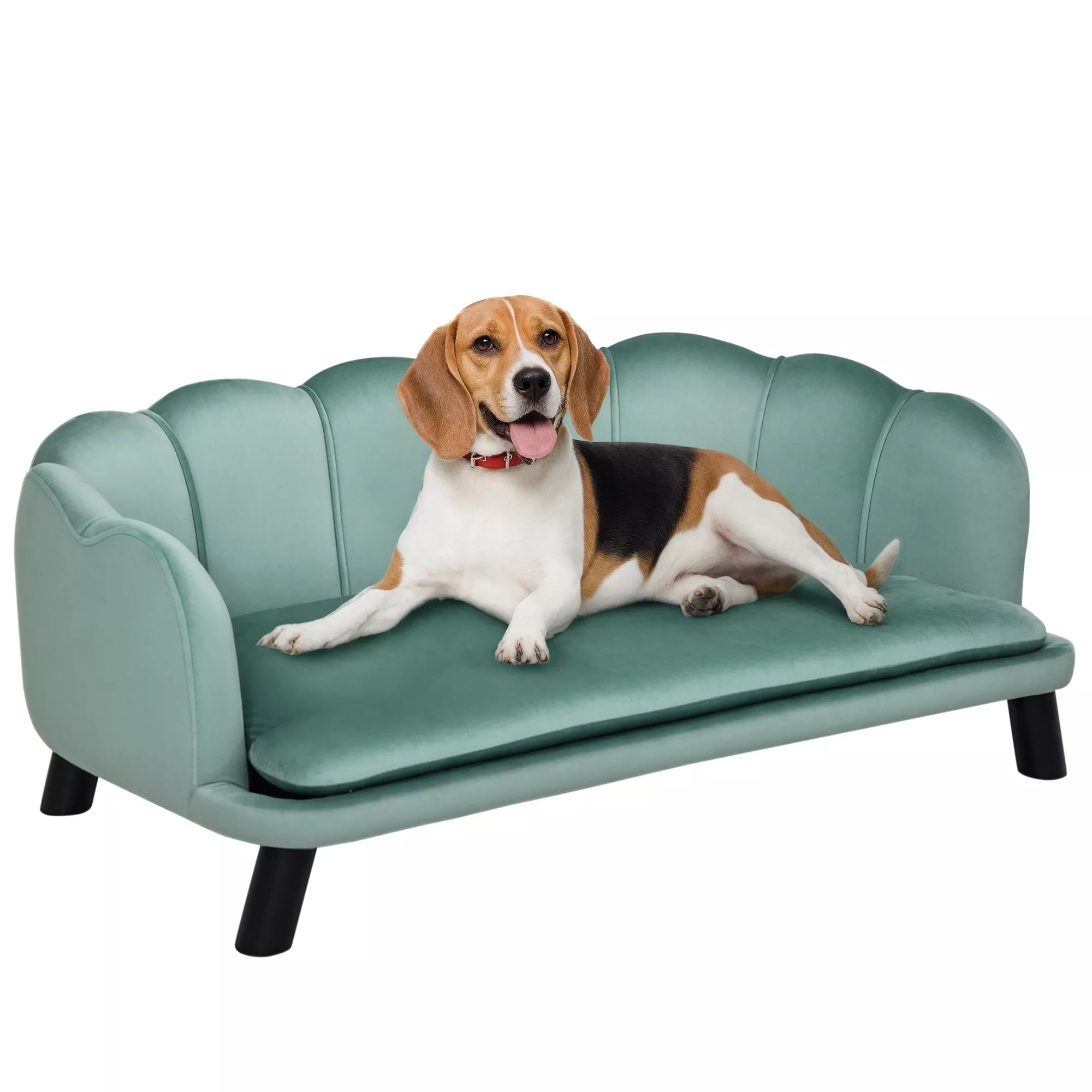 Gyvūnėlio sofa vidutinio dydžio ir dideliems šunims iki 25 kg, tvirta mediena, paminkštinta, žalia