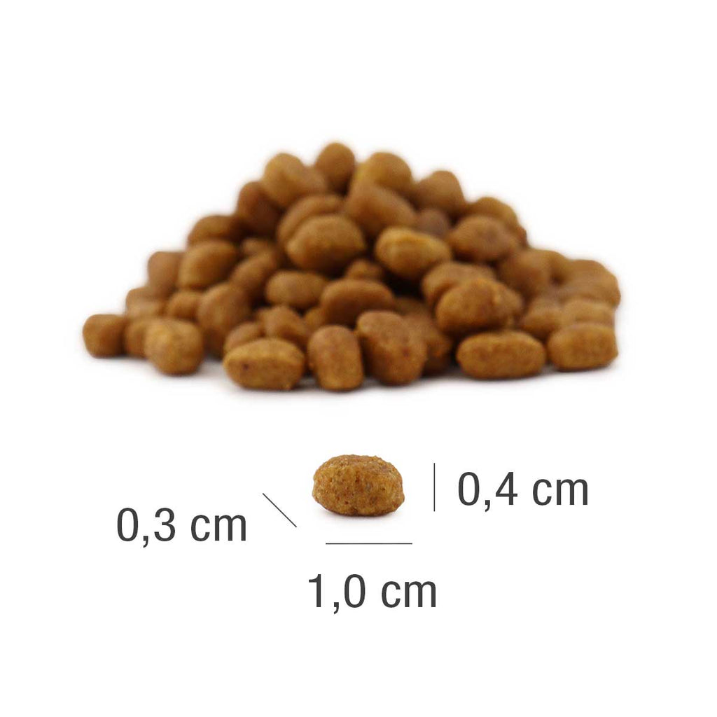 Platinum MeatCrisp Chicken sabalansēta pilnvērtīga sausā barība kaķēniem