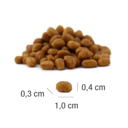 Platinum MeatCrisp Chicken sabalansēta pilnvērtīga sausā barība kaķēniem