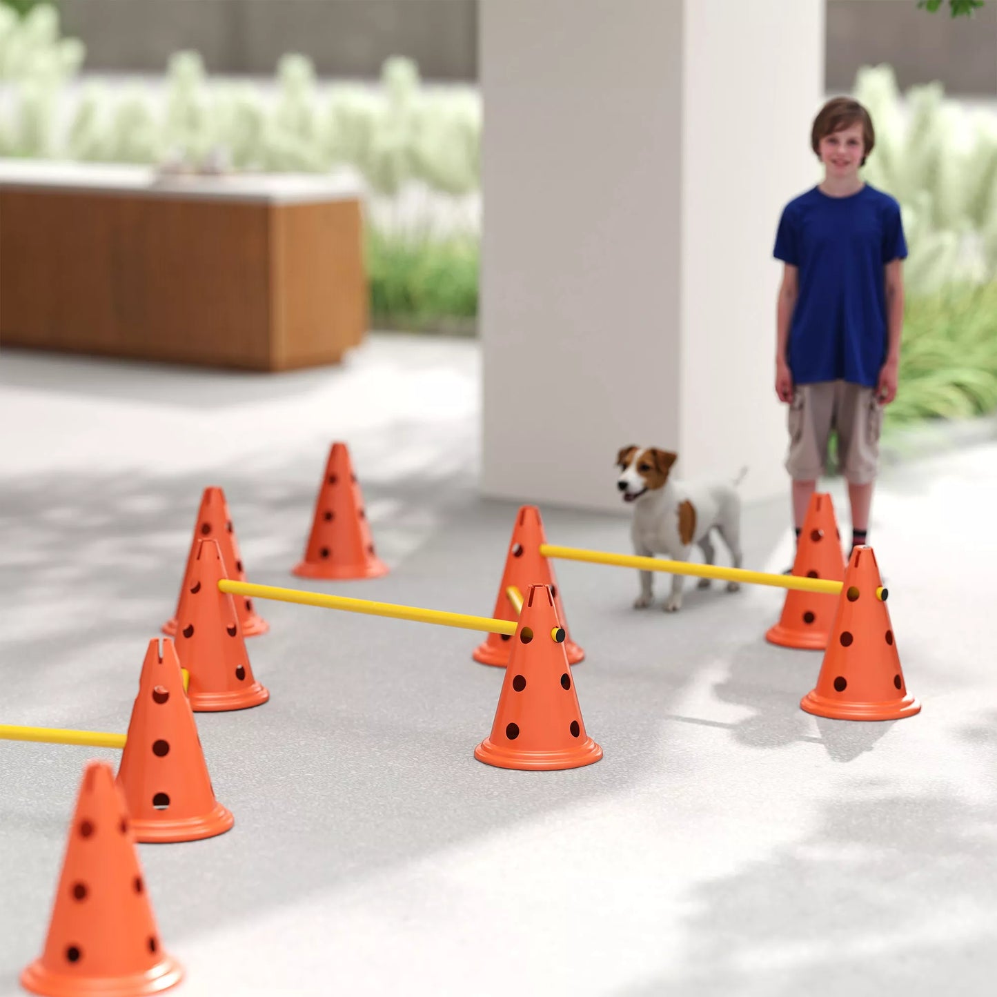 Agility rinkinys šunims, 6 dalių agiliti įranga šunų dresūrai, sudėjamų kliūčių rinkinys su 12 kūgių, 6 barjerų ir nešiojimo krepšiu