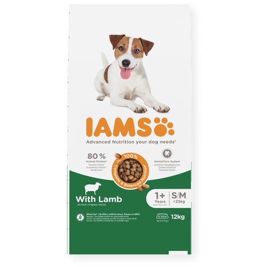 IAMS sausas maistas mažų ir vidutinių veislių šunims su ėriena, S/M, 12 kg