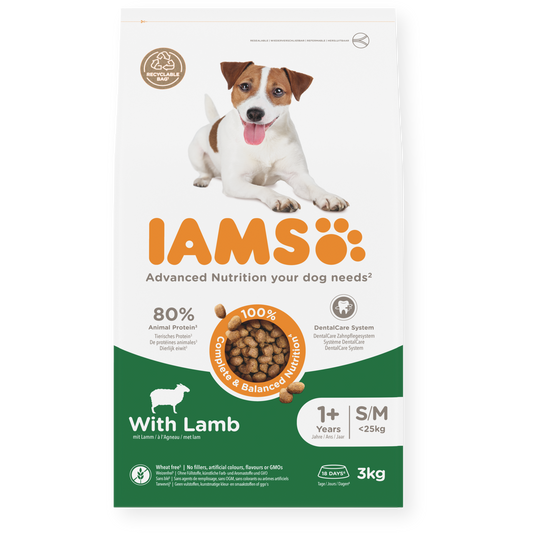 IAMS sausas maistas mažų ir vidutinių veislių šunims su ėriena, S/M, 3 kg