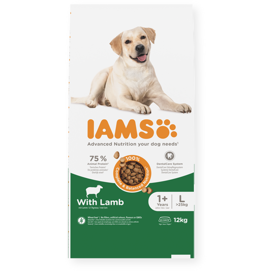 IAMS sausas maistas didelių veislių šunims su ėriena, L, 12 kg