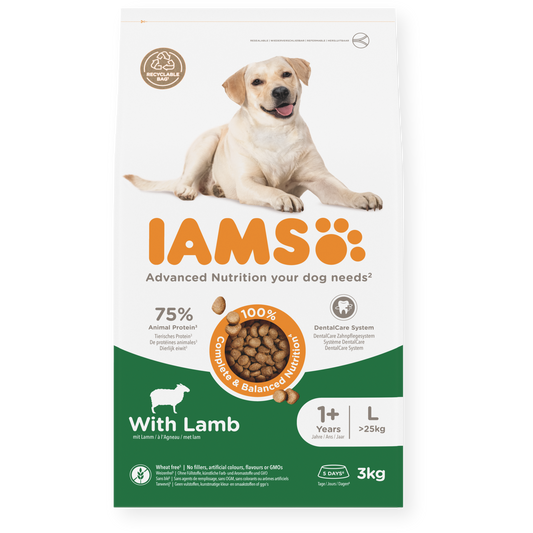 IAMS sausas maistas didelių veislių šunims su ėriena, L, 3 kg