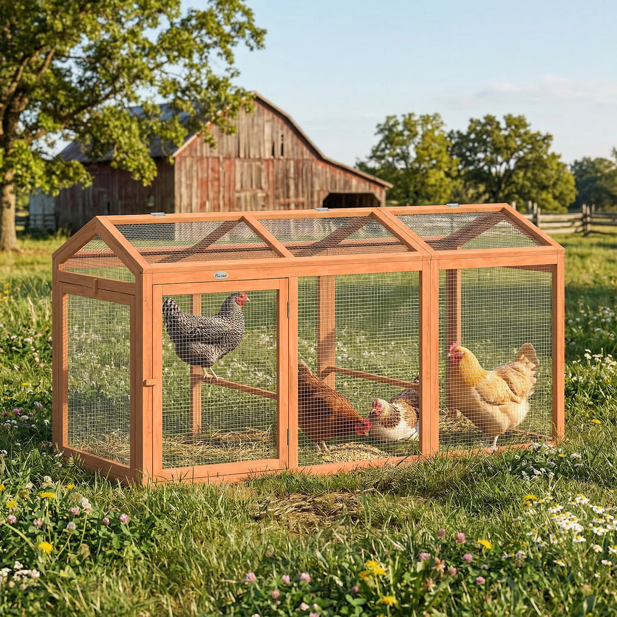 Lauko aptvaras vištoms 156x70,5x84 cm, medinis, su lakta ir dvejomis durimis, 4 vištoms, oranžinis