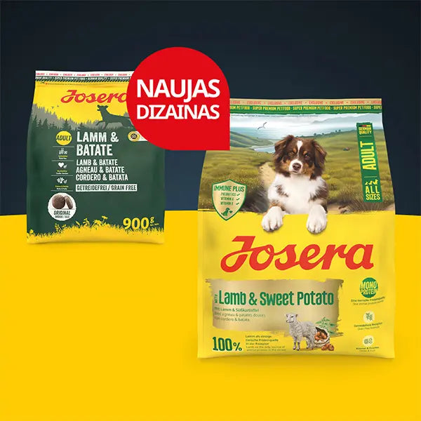 Josera Lamb + Sweet Potato begrūdis sausas pašaras šunims su ėriena ir batatais, 12,5 kg naujas pakuotės dizainas