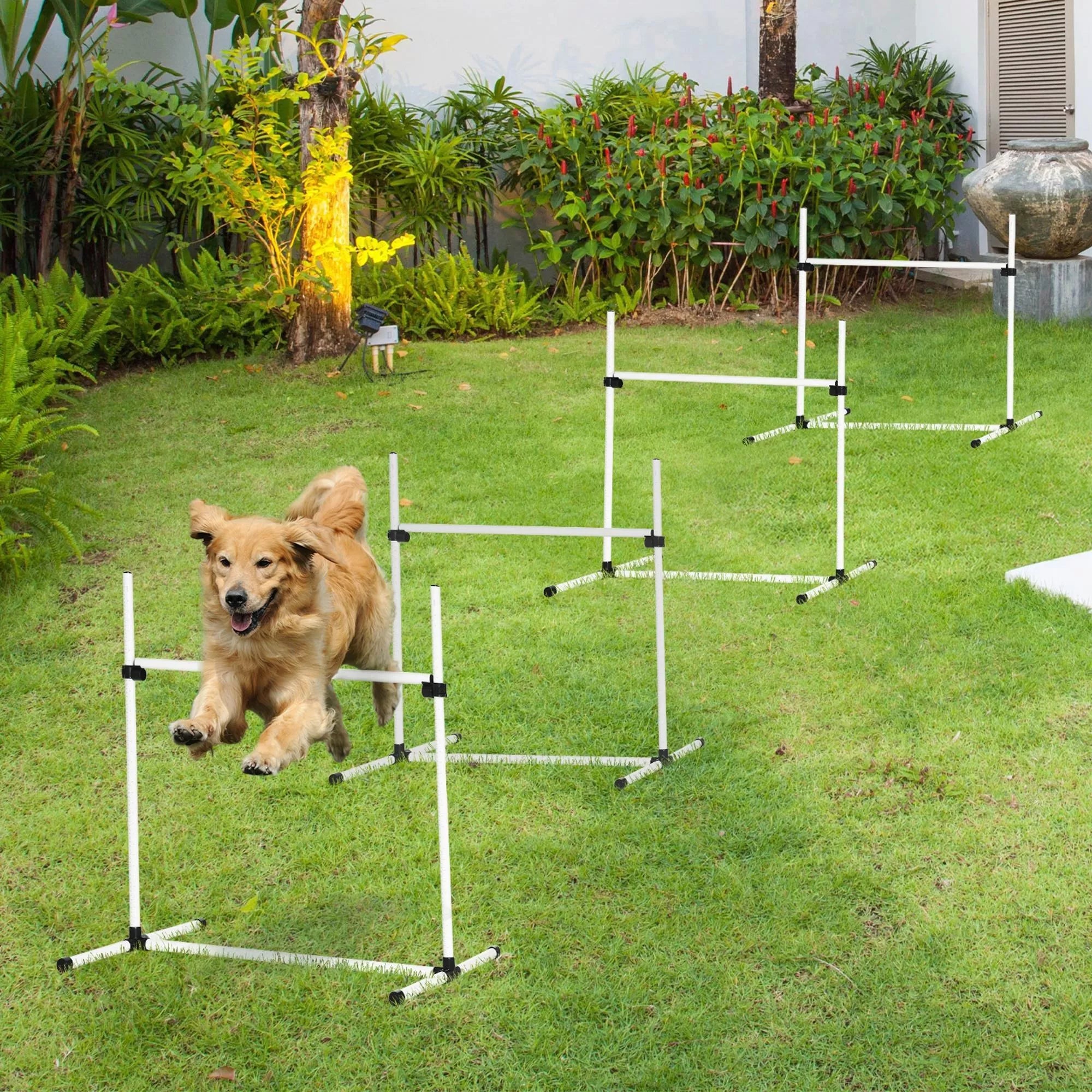 Šunų Agility Rinkinys, 4 dalys, reguliuojamo aukščio. Agility įranga, šuolių kartelių rinkinys, su 4 kliūtimis, su nešiojimo krepšiu. Koordinacijos treniruotėms, šuolių kartelių rinkinys žaidimams ir treniruotėms.