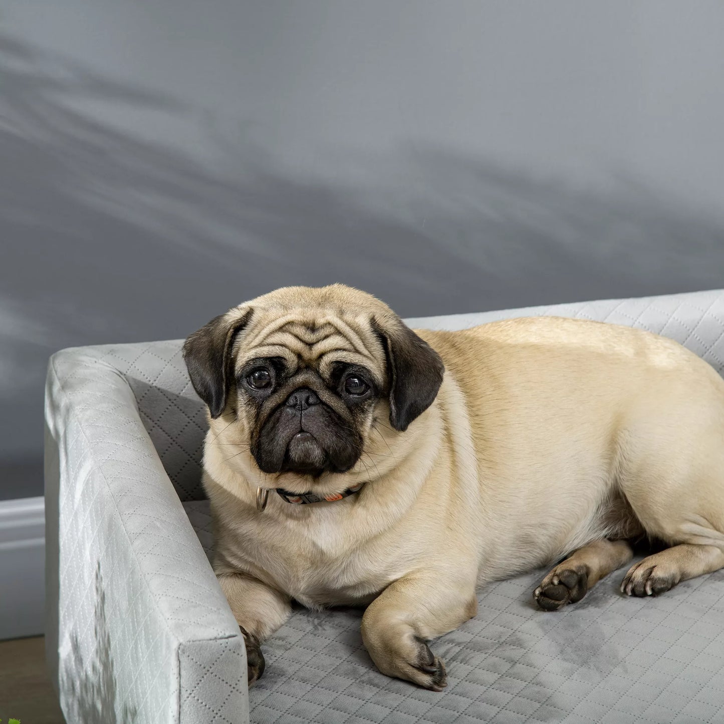 Suņu dīvāns ar koka kājām, suņu gulta, mājdzīvnieku dīvāns, suņu paklājiņš mazam sunim līdz 8 kg, samtains pieskāriens, pelēks, 64 x 45 x 36 cm