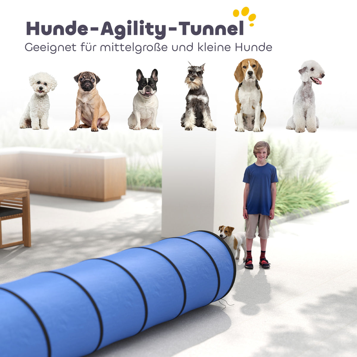 Agility tunelis šunims 300x50 cm, su 4 kuoliukais ir krepšiu, mažiems ir vidutiniams šunims, mėlynas
