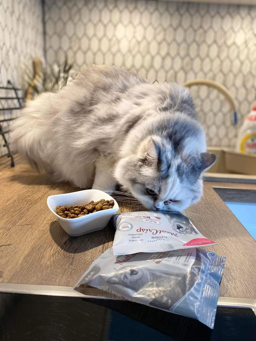 Platinum MeatCrisp sausā barība pieaugušiem kaķiem ar zivīm