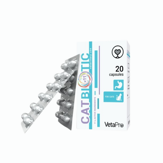 CatBiotic Papildai katėms virškinimui gerinti N20