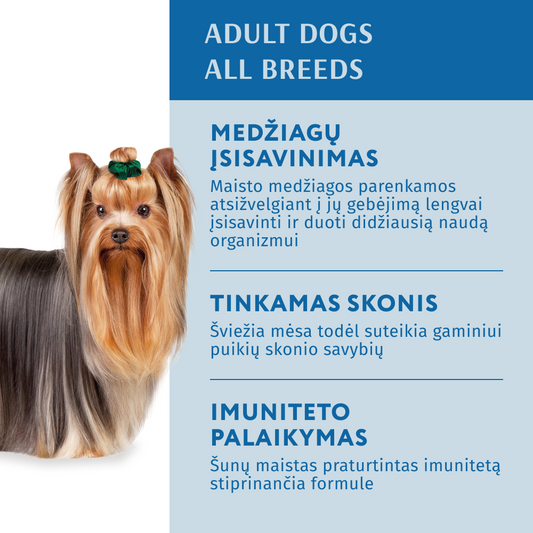 OPTIMEAL ™ Visavertis konservuotas pašaras suaugusiems šunims su lašiša ir mėlynėmis kreminiame padaže 12x0.01 kg nauda ir privalumai