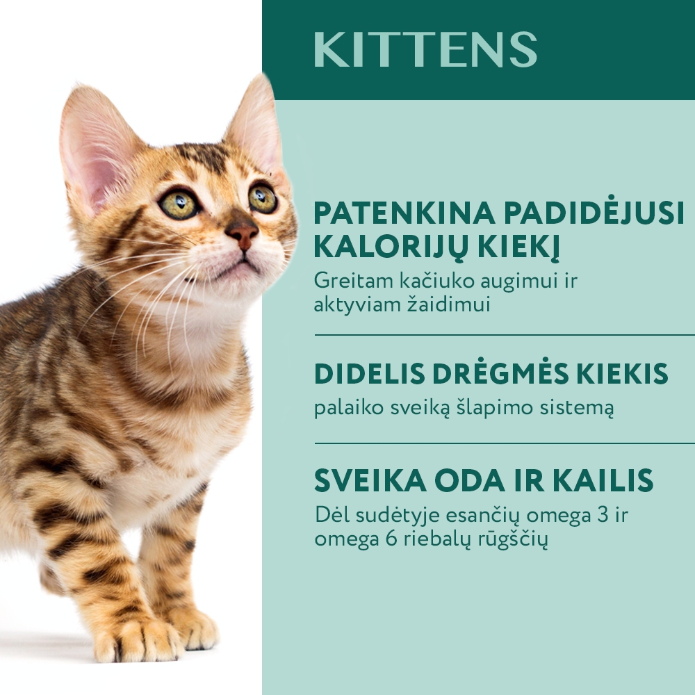 OPTIMEAL ™ konservuotas pašaras kačiukams su vištiena 12x0.085 kg privalumai