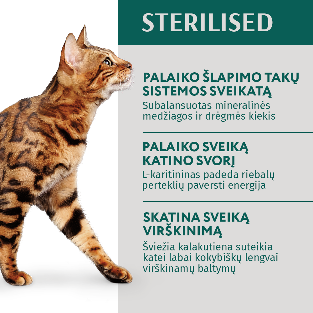 OPTIMEAL™ konservuotas pašaras sterilizuotoms katėms su kalakutiena ir vištiena 12x0.085 kg privalumai