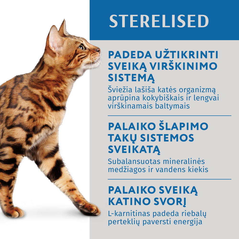 OPTIMEAL™ visavertis konservuotas pašaras sterilizuotoms katėms su lašiša ir mėlynėmis drebučiuose 12x0.085 kg privalumai