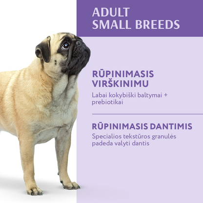 visavertis sausas pašaras mažų veislių šunims su antiena nauda