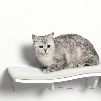 PawHut Katėms skirta kopėčių tipo sienelė, katės guolis, sieniniai katės lentynos, sieniniai katės baldai iki 4,5 kg, balta