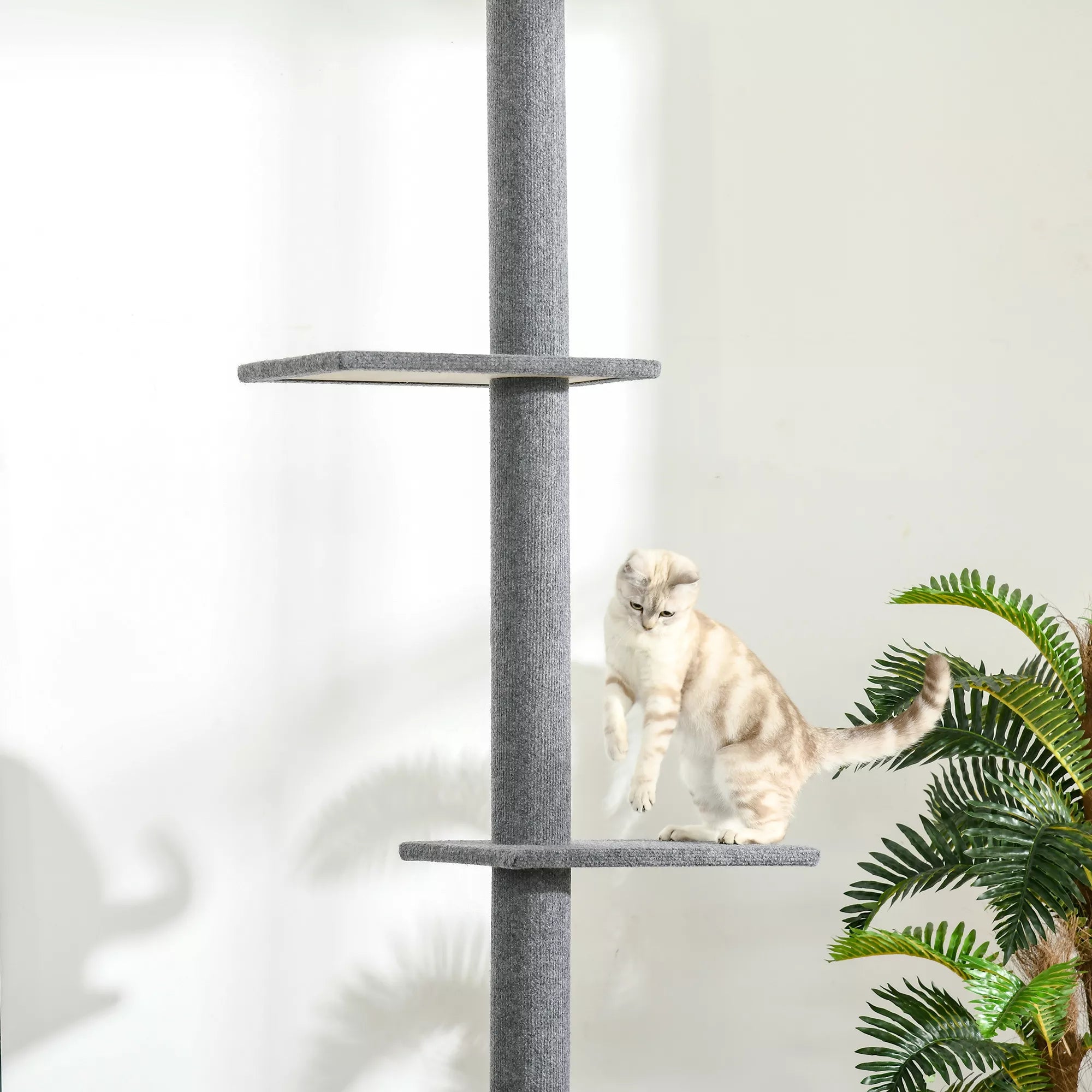 Griestu kaķu māja, augstums 228-260 cm, ar platformām, daudzlīmeņu, kāpšanas māja maziem un lieliem kaķiem, pelēka