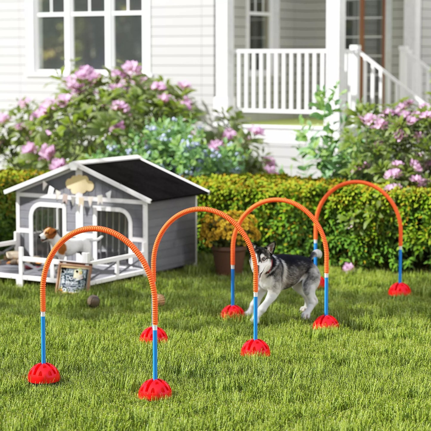 4 daļu suņu veiklības treniņu aprīkojums ar 4 durvīm, regulējams platums, ar pārnēsāšanas somu, dārzam, zils