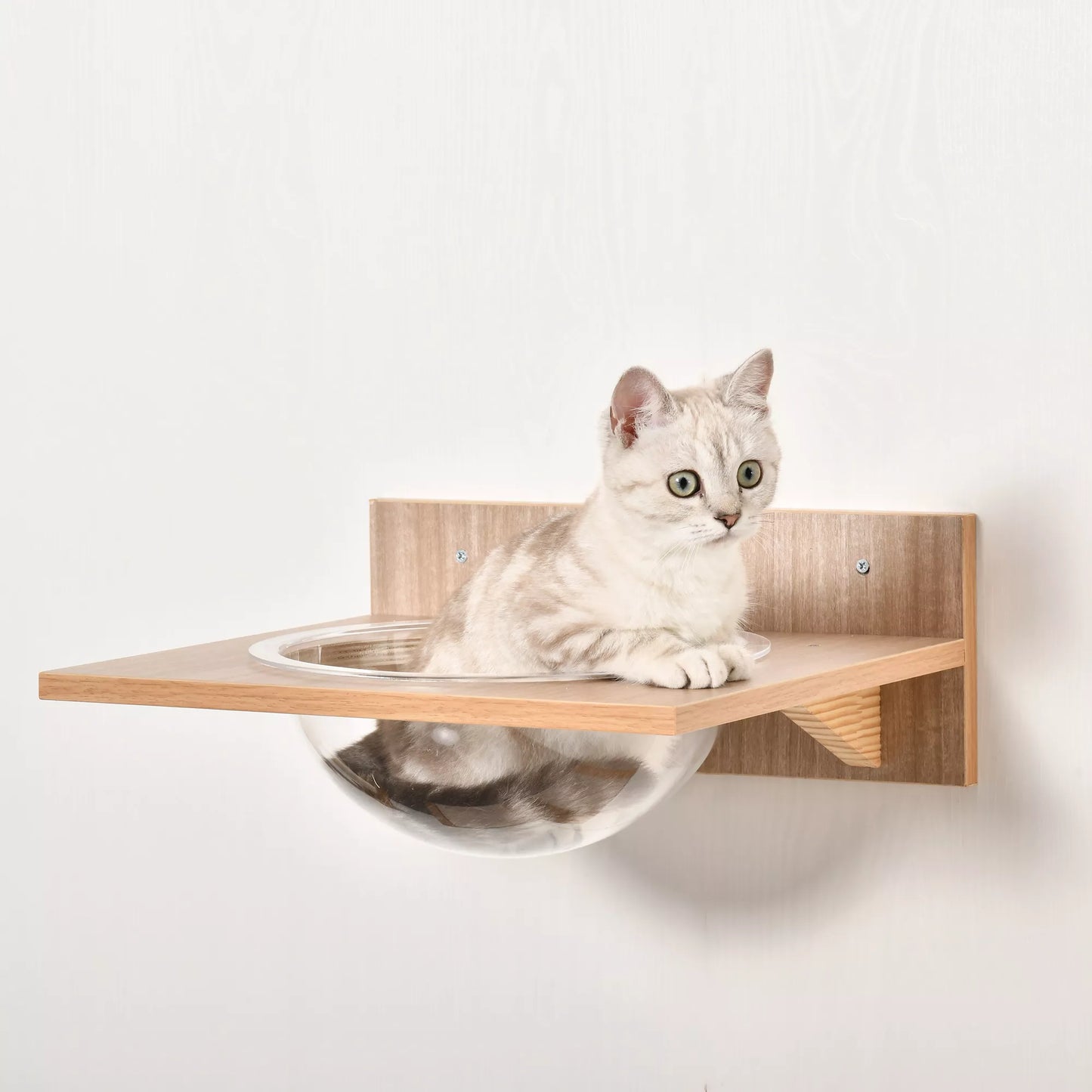 4 daļu kaķu kāpšanas siena ar skrāpējamo stabu, kaķu pakāpieni, kaķu mēbeles, šūpuļtīkls, gaiši brūna, sizala, akrila, priedes koks