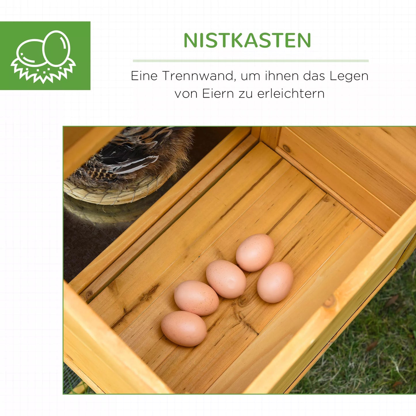 Pundurvistu kūts ar voljēru un ligzdošanas zonu. Laikapstākļiem izturīga, no lakota egles koka, asfalta jumts. Krāsas: dabīga un zaļa.