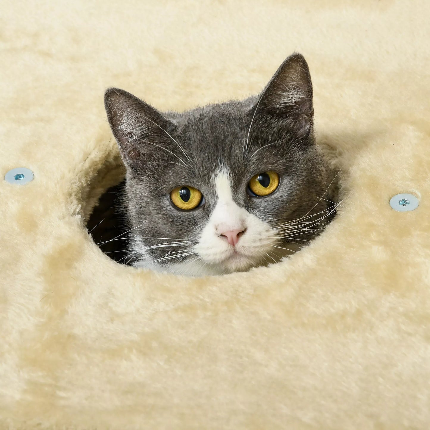 Cat scratching post with cat bed, resting platform, play ball, 45x40x74cm, beige