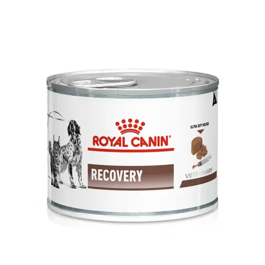 Recovery drėgnas pašaras katėms ir šunims Royal Canin