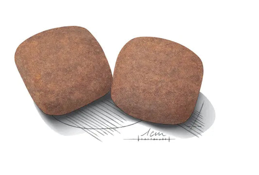 Royal Canin Dog Giant Adult subalansuotas pašaras milžiniškos veislės šunims granulės