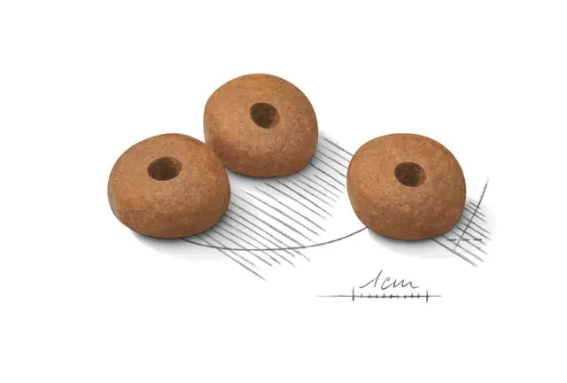 Royal Canin Dog Light Weight Care Medium visavertis pašaras šunims, linkusiems priaugti svorio granulės