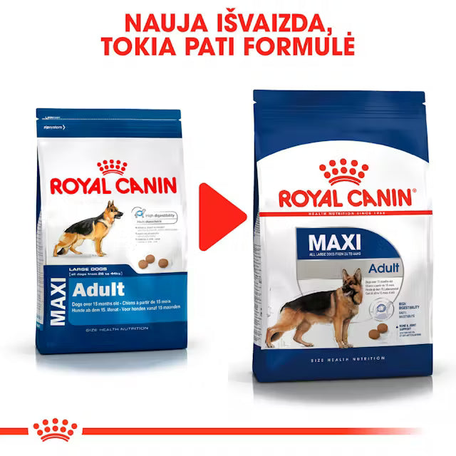Royal Canin Dog Maxi Adult visavertis pašaras  suaugusiems didelių veislių šunims nauja pakuotė