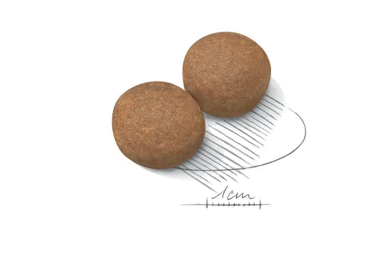 Royal Canin Dog Maxi Adult visavertis pašaras  suaugusiems didelių veislių šunims granulės