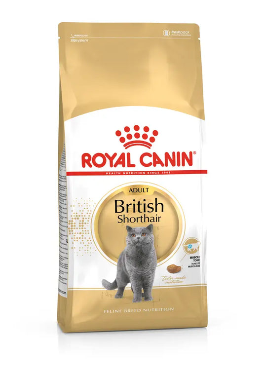 Royal Canin Britų trumpaplaukėms katėms