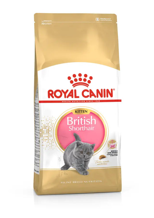 Royal Canin Britų trumpaplaukiams kačiukams iki 12 mėnesių amžiaus