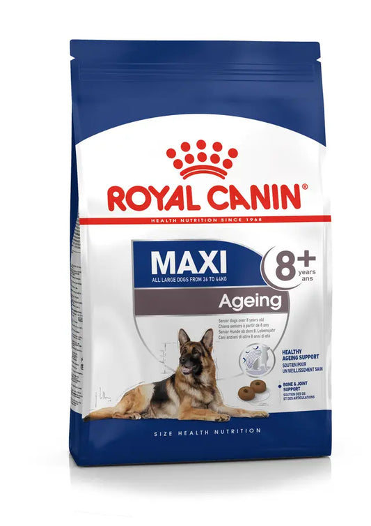 Royal Canin Dog Maxi Ageing pašaras stambių veislių šunims nuo 8 metų (26-44kg)