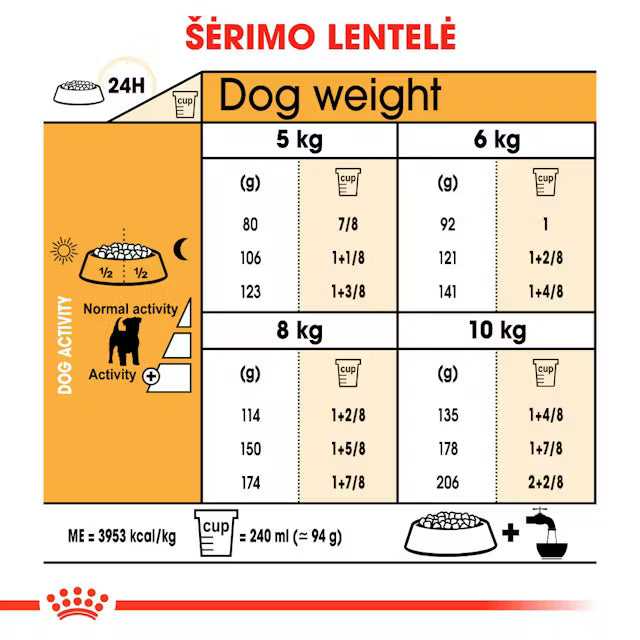 Royal Canin Jack Russel Terrier Adult visavertis pašaras Džeko Raselo terjerų veislės šunims šėrimo rekomendacijos