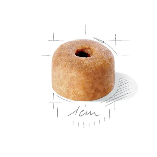 Royal Canin Labrador Retrievier Puppy visavertis pašaras labradorų retriverių jauniems šuniukams grūdelis